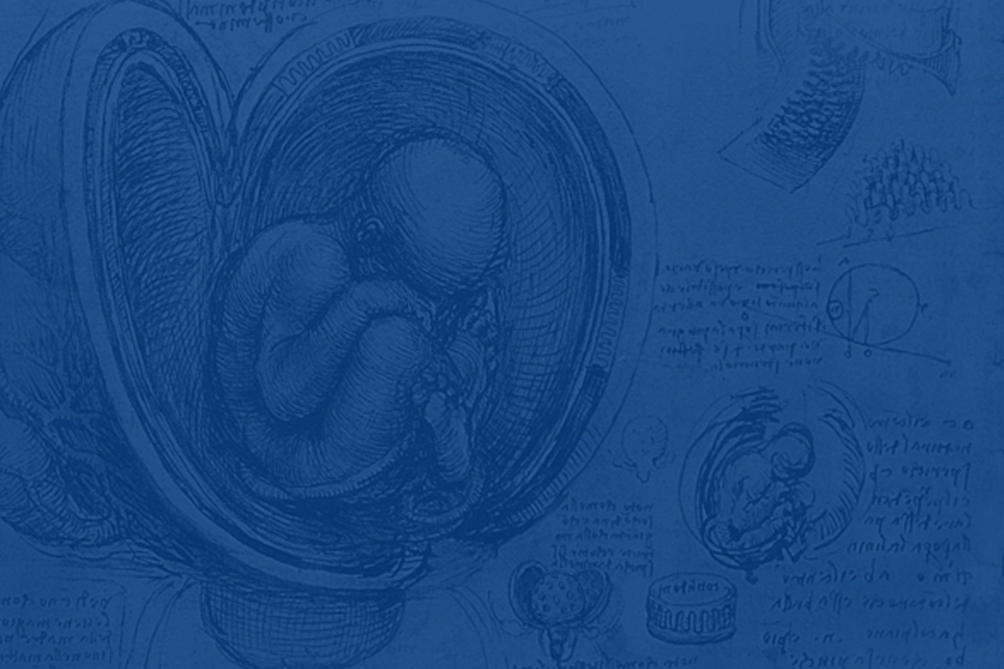 Leitura biológica – Conflitos internos podem afetar a saúde.