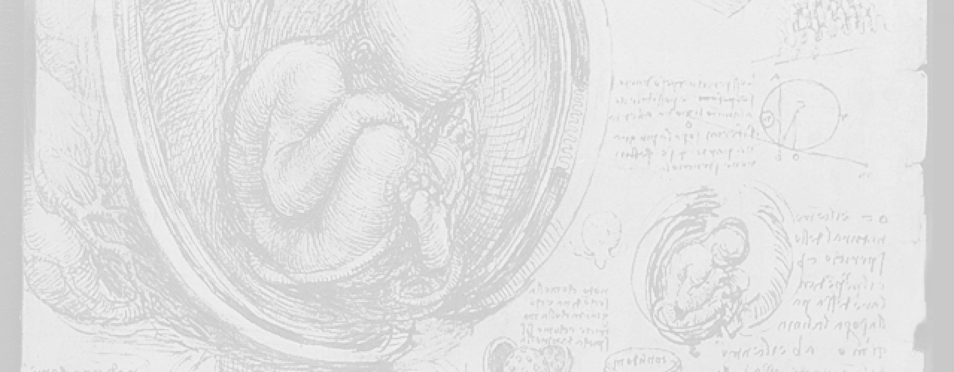 leitura-biologica-microfioterapia-antonia-regina-atendimento-santa-catarina-fisioterapeuta-tratamento-atendimento-reabilita-ctir-global-lages-curitiba-parana-3